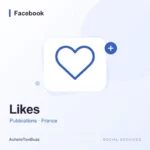 Facebook – Likes publication (France)